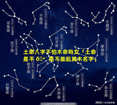 土命八字不怕木命吗女「土命是不 🪴 是不能起属木名字」